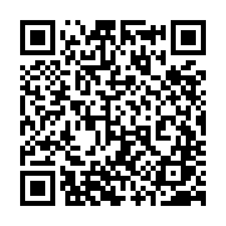 QR code for 313MNS