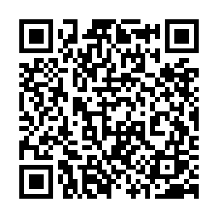QR code for 313OGS