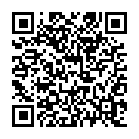 QR code for 313PEL