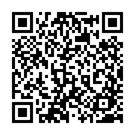 QR code for 313PTO