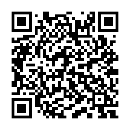 QR code for 313QXI