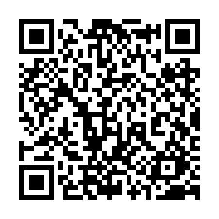 QR code for 313RRO