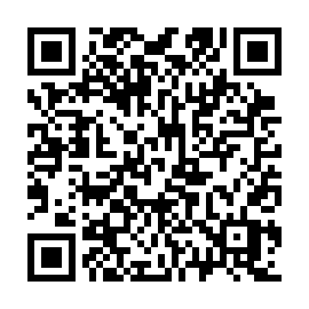 QR code for 313SDT