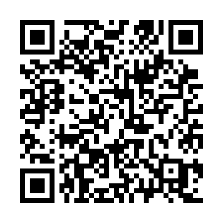 QR code for 313SKA