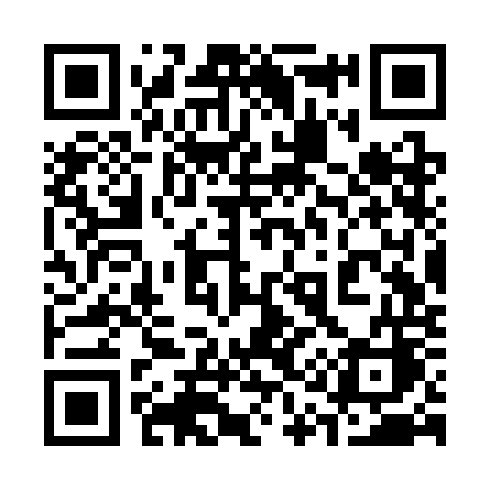 QR code for 313SOC