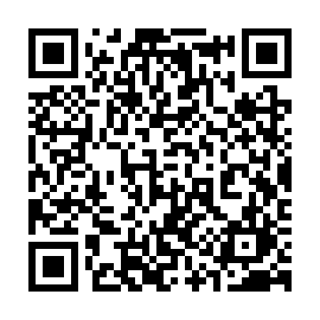 QR code for 313SRL