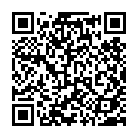 QR code for 313TII