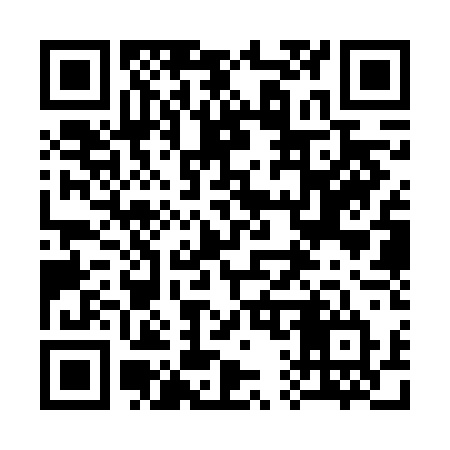 QR code for 313VDT