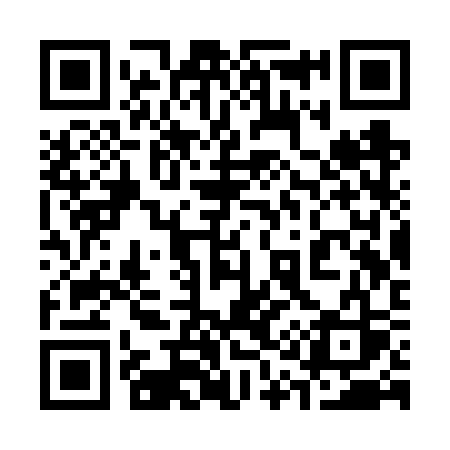 QR code for 313VSS