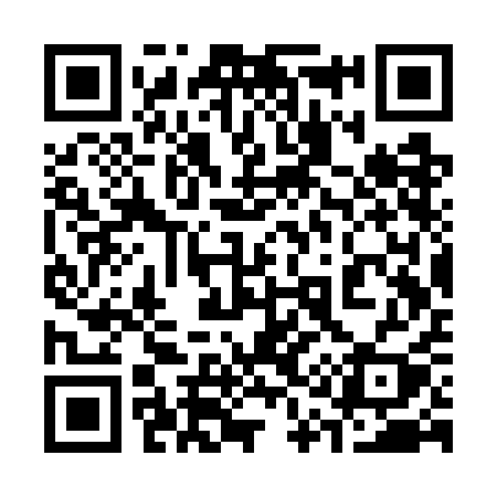 QR code for 313WAY