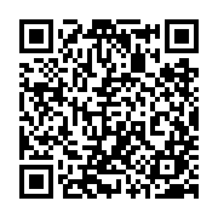 QR code for 313WML