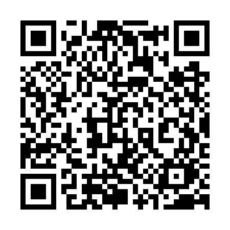 QR code for 313WWO