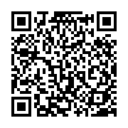 QR code for 313XEI