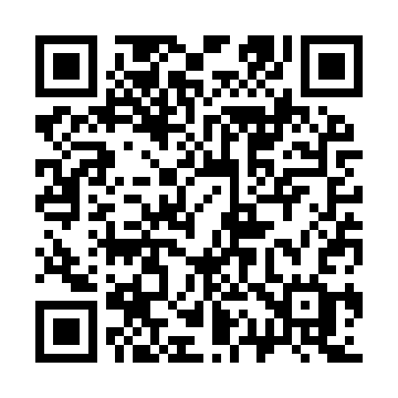 QR code for 313YSG