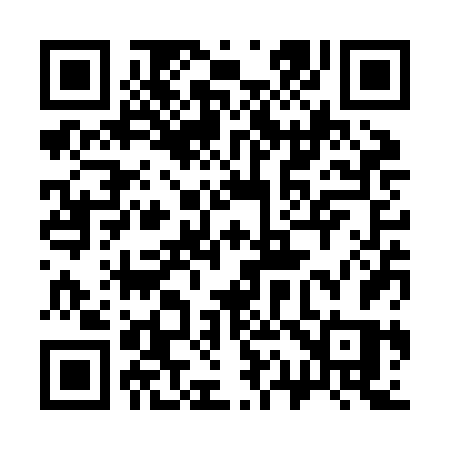 QR code for 313ZFS