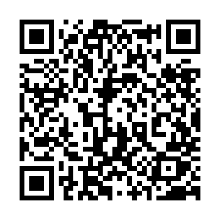 QR code for 313ZMZ
