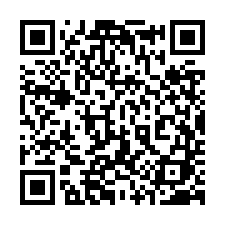 QR code for 313ZTI