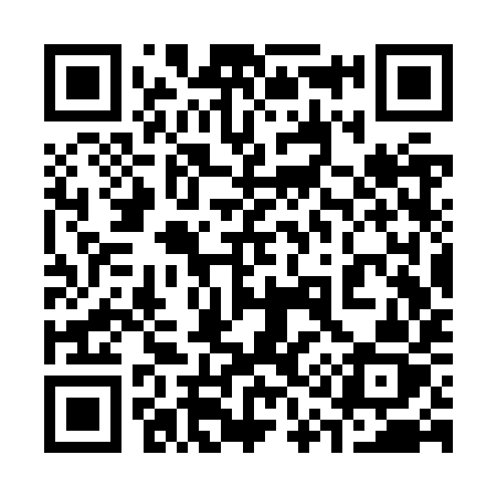 QR code for 313ZYZ
