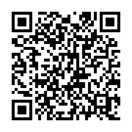 QR code for 317ISH