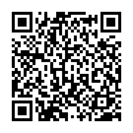 QR code for 318ISS