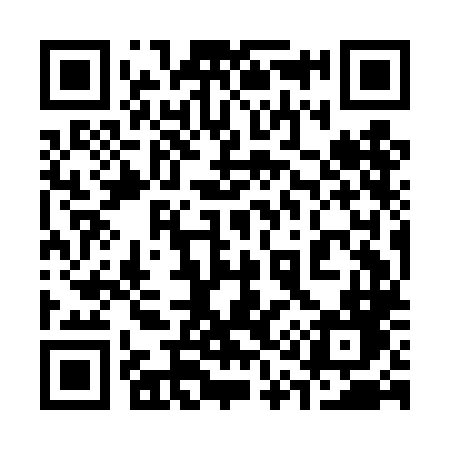 QR code for 319DLD