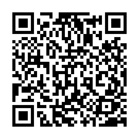 QR code for 319LUZ