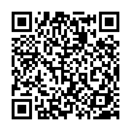 QR code for 319QBH