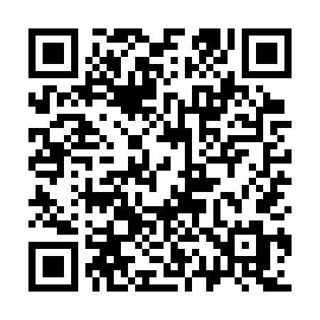 QR code for 319STM