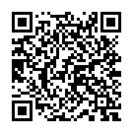 QR code for 320ZUI