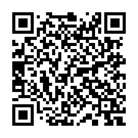 QR code for 323MES