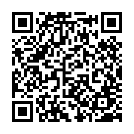 QR code for 323POV