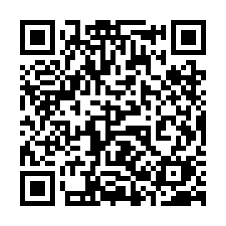 QR code for 325SCM