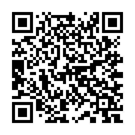 QR code for 325ZLT