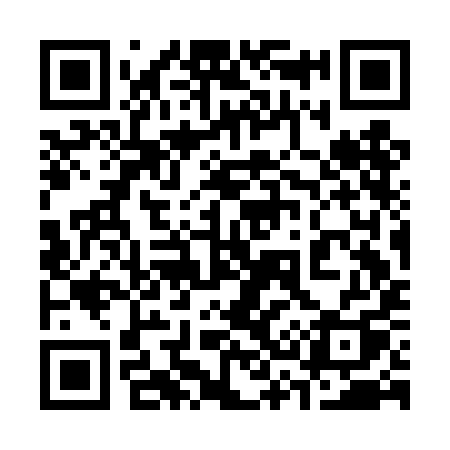 QR code for 333DIQ