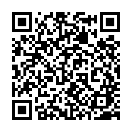 QR code for 333EMC