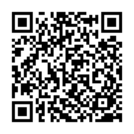 QR code for 333EUO