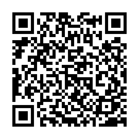 QR code for 333EUP