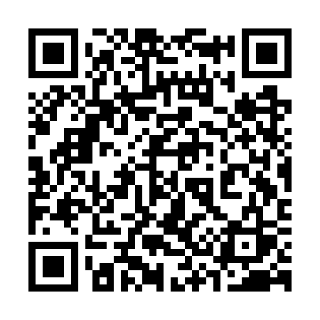 QR code for 333GSS