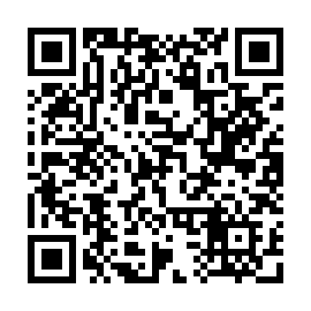 QR code for 333LHF
