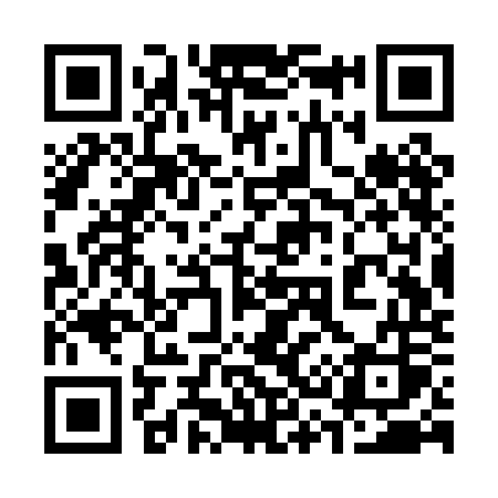 QR code for 333POS