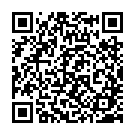 QR code for 333SLM
