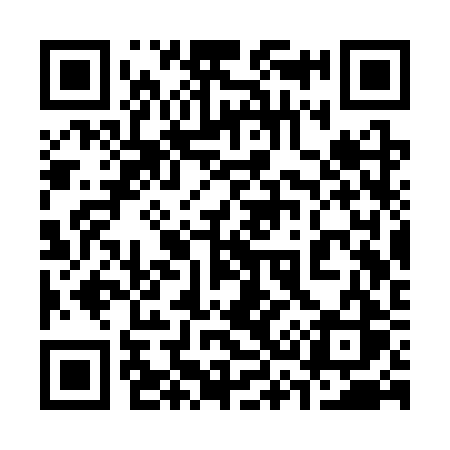 QR code for 333SRS