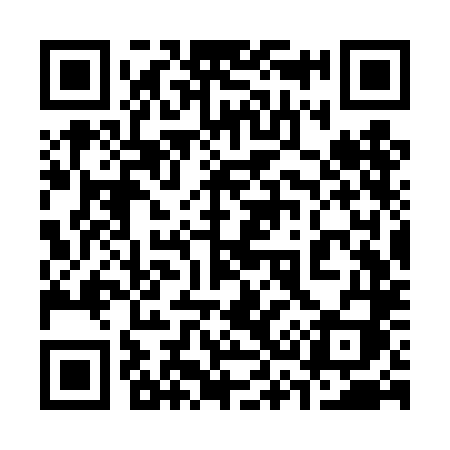 QR code for 333TLI
