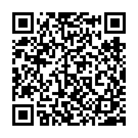 QR code for 333VIS
