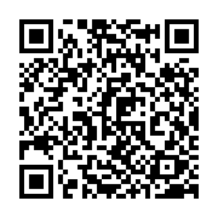 QR code for 333XRX