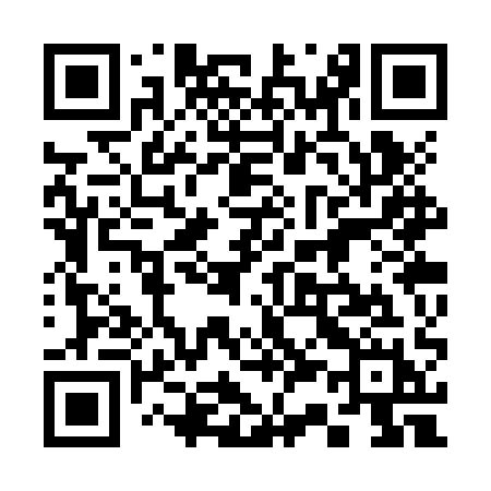 QR code for 333ZQH