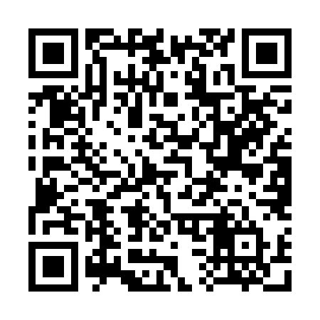 QR code for 335BLT
