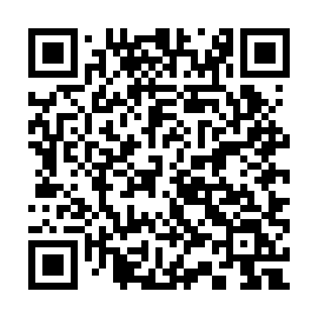 QR code for 335BXL
