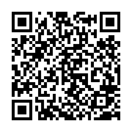 QR code for 335DLR