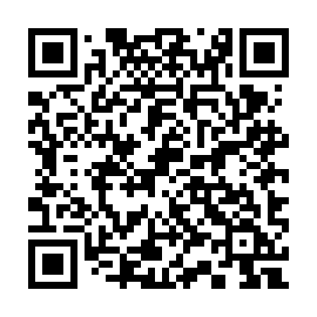 QR code for 335FIF